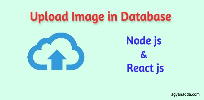 upload-image-in-mysql-database-using-node-js-and-react-js.webp